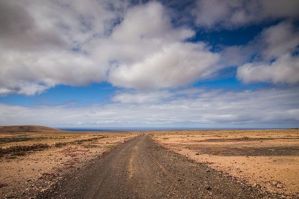 Canary Islands-Fuerteventura Island-Punto de Paso Chico-west coast desert landscape with road